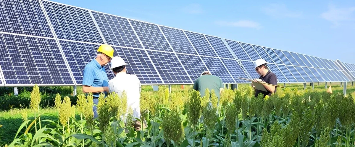 Solar-Farming