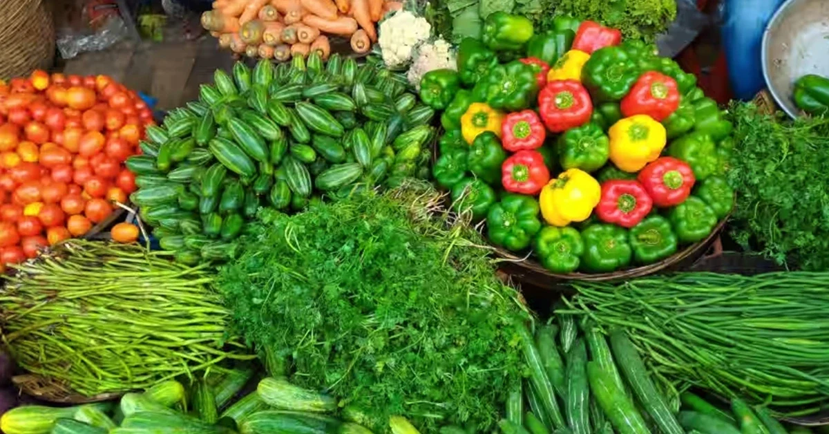 सब्जियों-की-खेती-Vegetable-farming