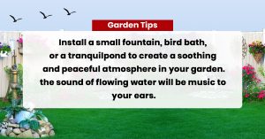 Best-Garden-Tip