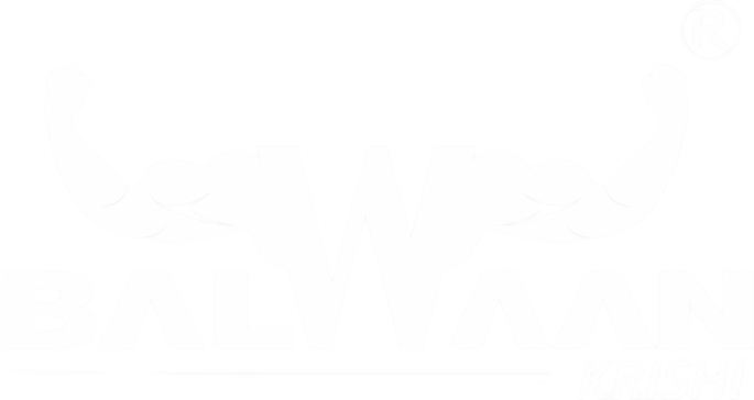Balwaan-logo