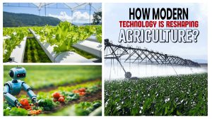 How Modern Technology Is Reshaping Agriculture?