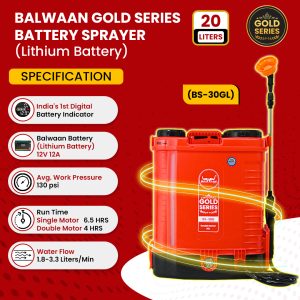 Balwaan BS-30GL Gold Series Double Motor Battery Sprayer