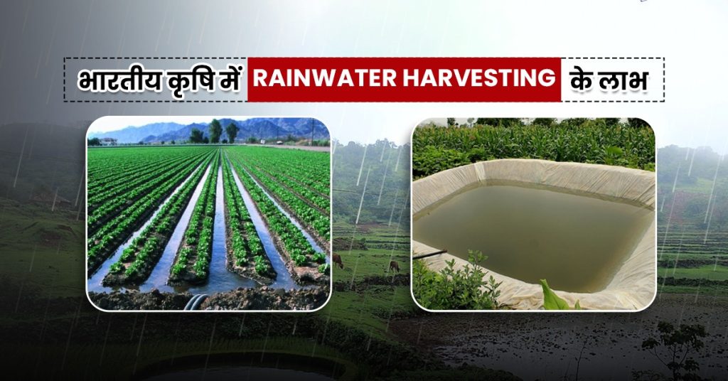 Rainwater harvesting