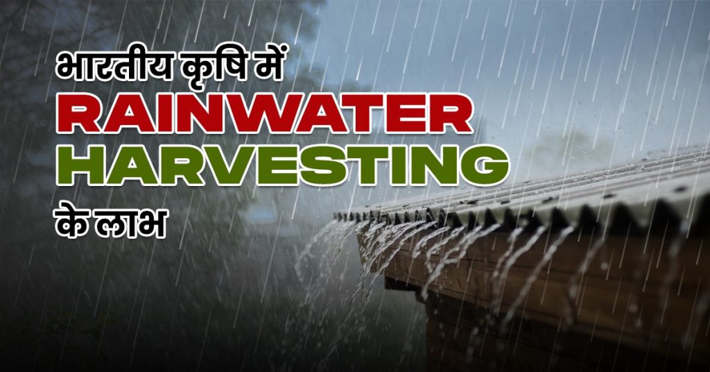 Rainwater-Harvesting