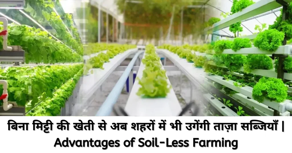 Soil-less Agriculture