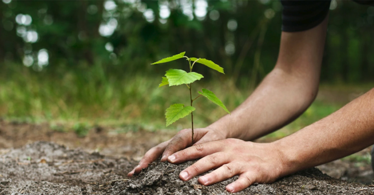 वृक्षारोपण-Tree-Planting